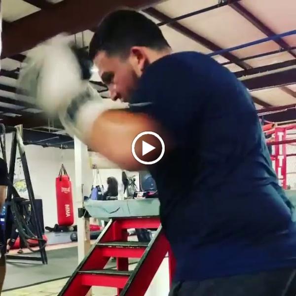 Bot's Boxing Memphis