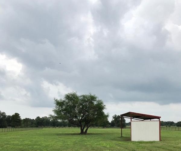 The Equestrian Center at Twinwood