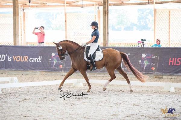 The Equestrian Center at Twinwood