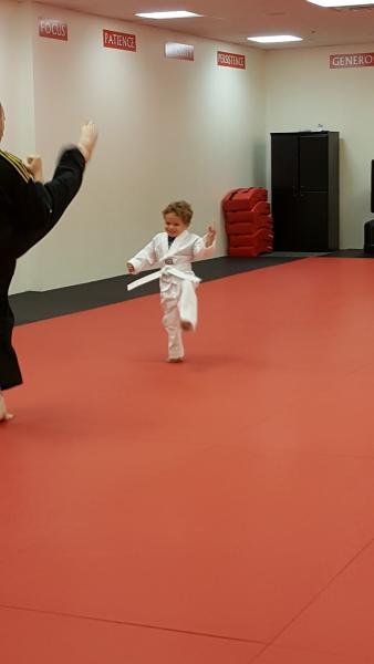 Achieve Taekwondo