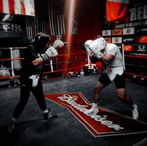 Warriorsedge Boxing Promotions