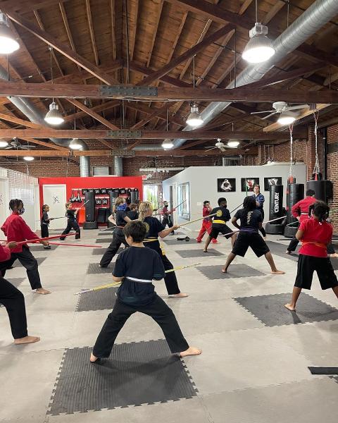 Action Karate Mt. Airy