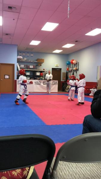 Aspire Karate