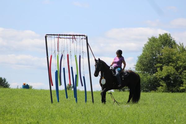 North Country Riding Club