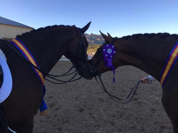 Hilltop Dressage