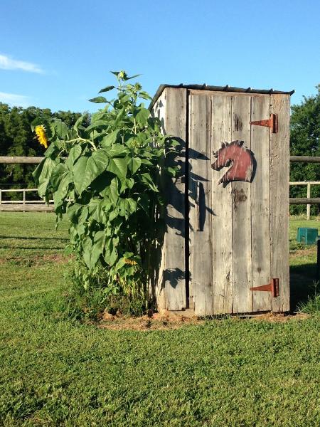 Thunder Ridge Farm