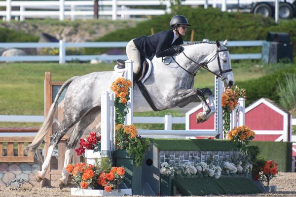 Front Range Show Stables