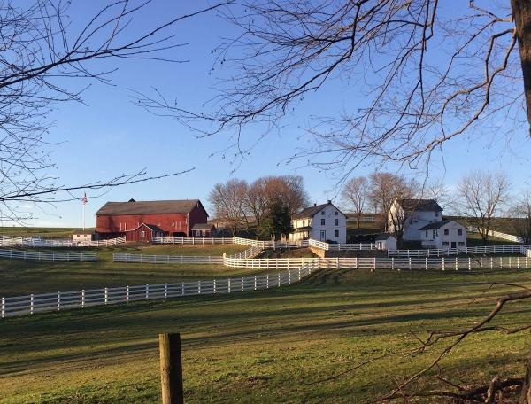 Silver Top Stables