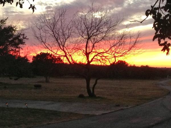 Texas Star Farm