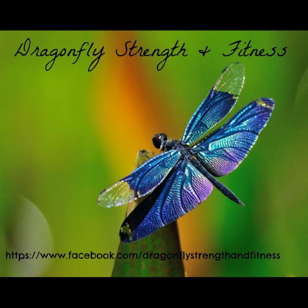 Dragonfly Strength & Fitness