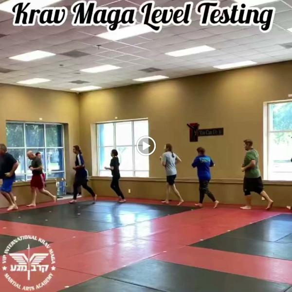 VIP International Krav Maga & Martial Arts Academy