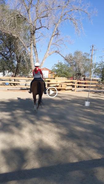 Headin' Home Horse Pasture