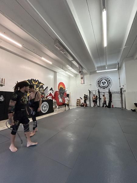 Technique Jiu-Jitsu Academy