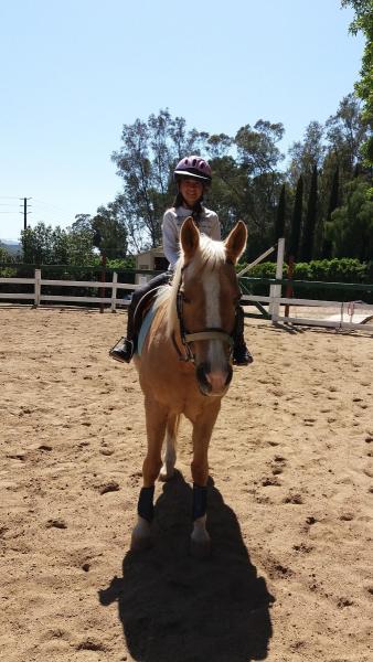 Glory Reins Riding School