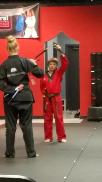 Excel Taekwondo Littleton