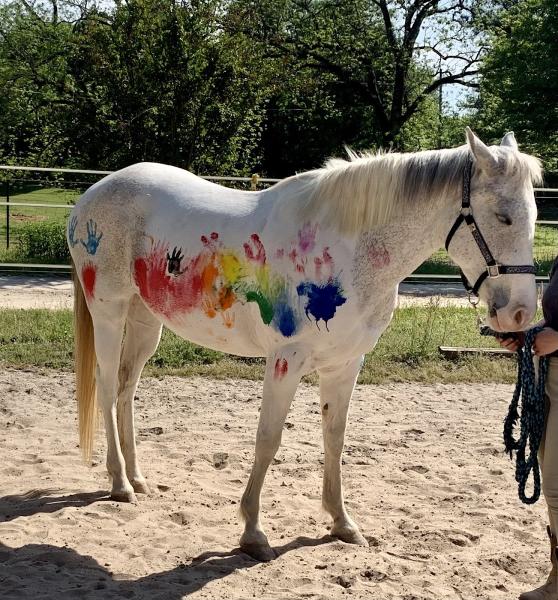 Zale-Ada Equestrian