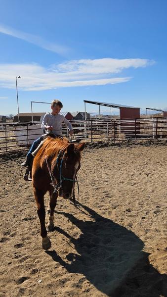 Big Thompson Stables