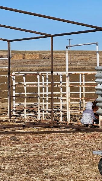 Big Thompson Stables