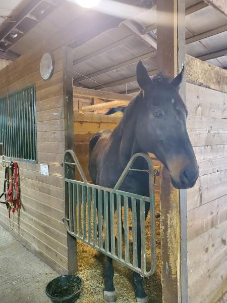 Geauga Horsesports Riding Center