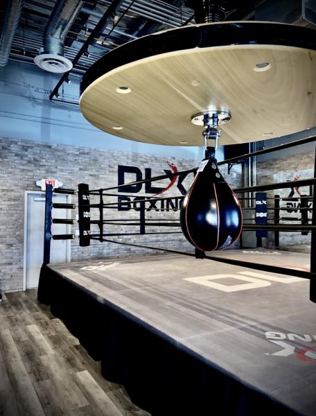 DLX Boxing