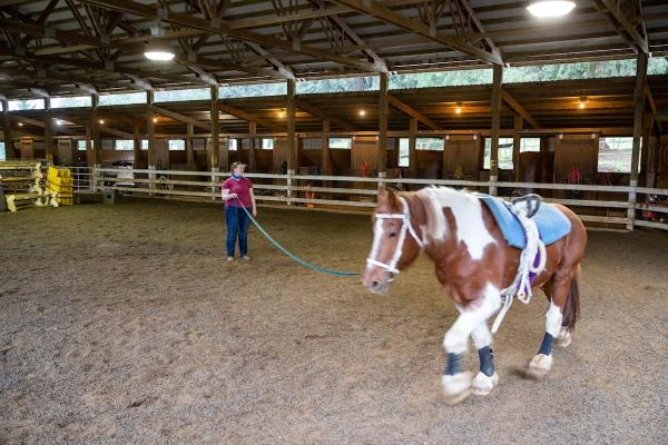 Son Rise Ranch