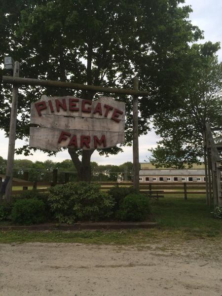 Pinegate Farm