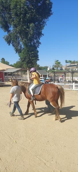 Equu8 Horsemanship and Therapeutic Riding Temecula