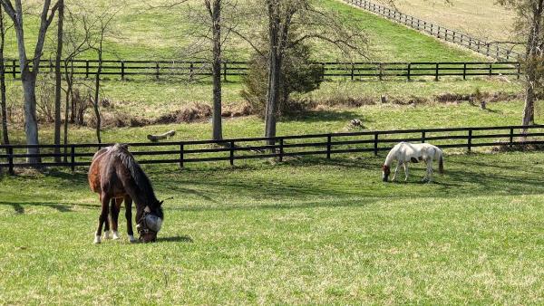 Lantern Lane Farm