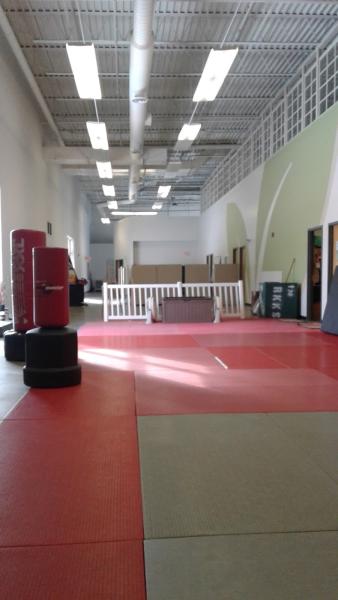 Ryukyu Kyusho Martial Arts