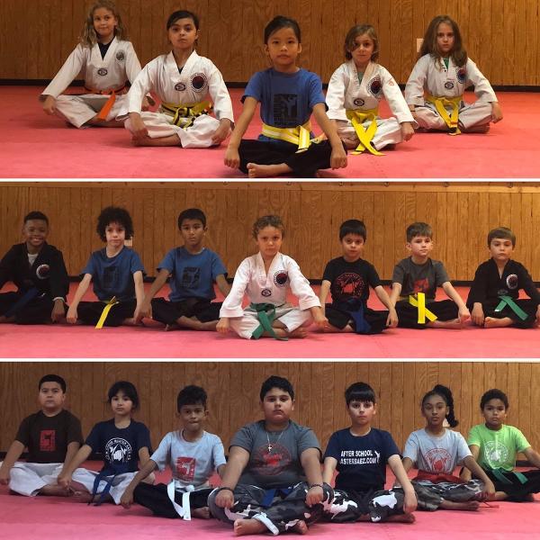 Master Baez Martial Arts Taekwondo and After School Program