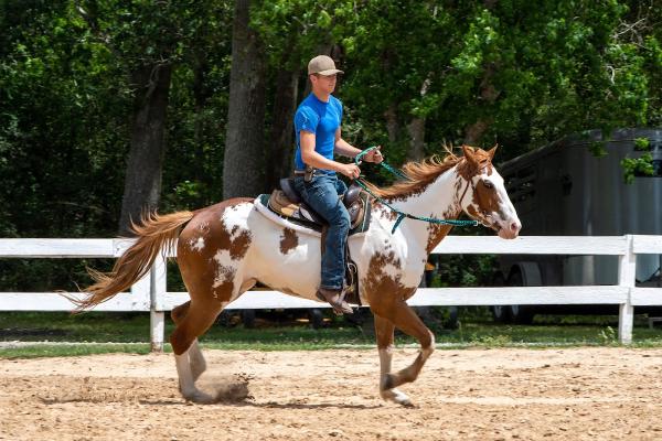 Dickinson Bayou Ranch