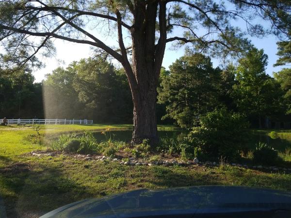 Yorktown Stables