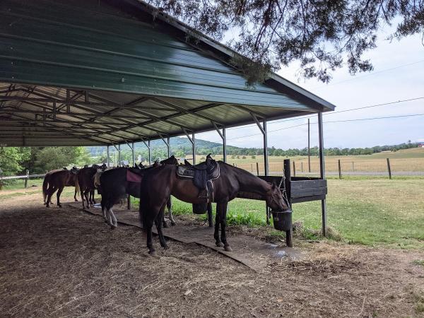 Jordan Hollow Stables