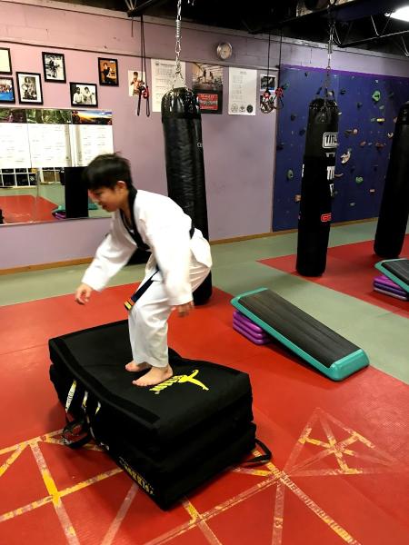 Asian Arts Center Taekwondo School