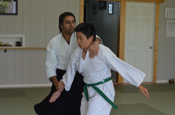 Traditional Japanese Martial Arts Dojo
