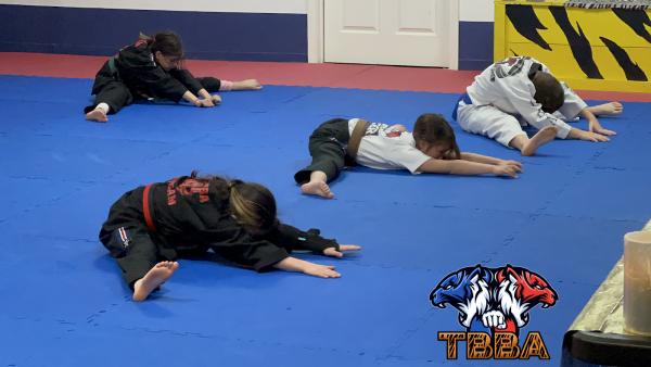 Tiger Black Belt Academy