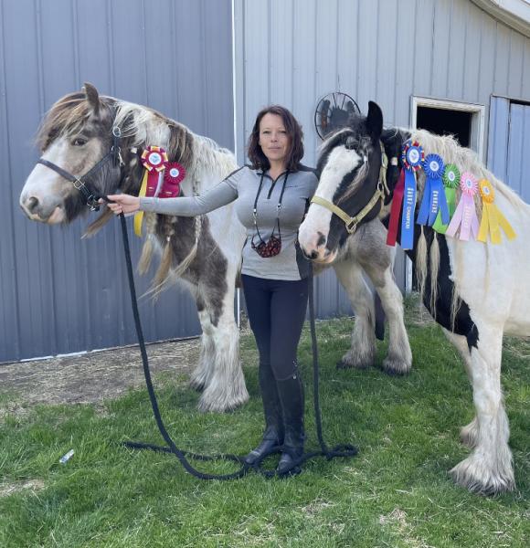 Serenity Farm Gypsy Horses