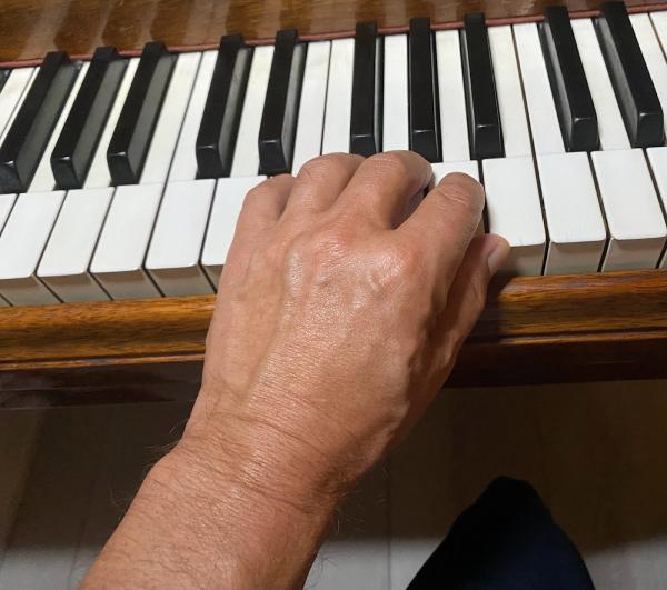 Mark Terenzi's Piano Lessons Sarasota