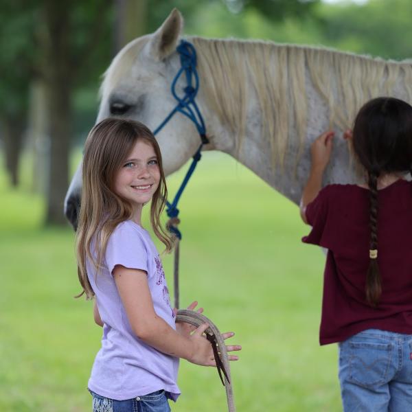 Serenity Equine