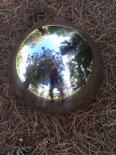 Whole Journey Northwest Yoga