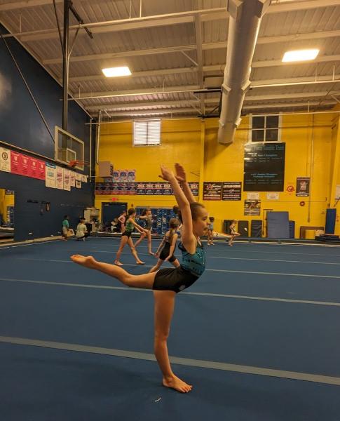 Rec Force Gymnastics