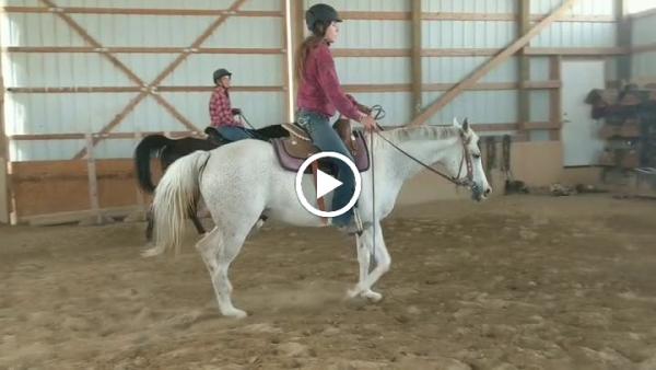 Coughing Cowgirl Horse Training