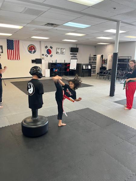 The Center For Martial Arts Excellence
