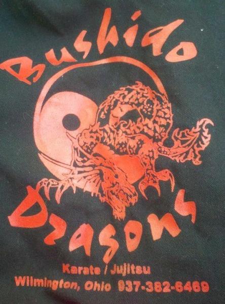 Bushido Dragons Karate