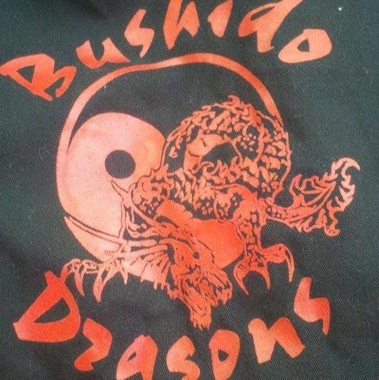 Bushido Dragons Karate