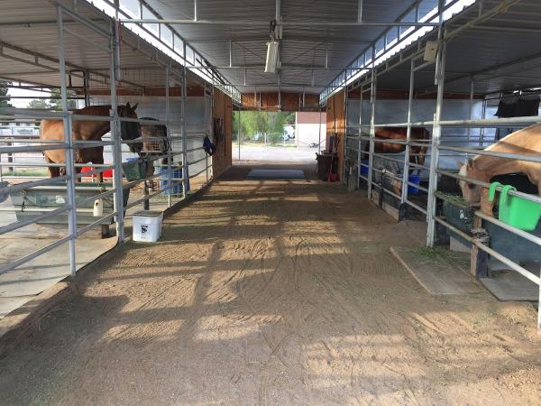 Cloud Nine Ranch