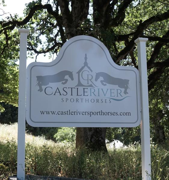 Castleriver Sporthorses