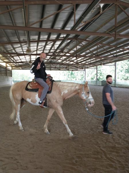 Tahoma View Stables