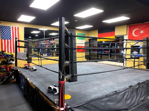 Babylon Boxing