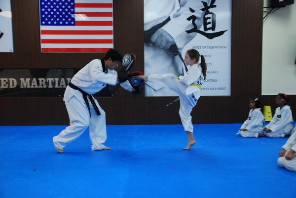 Top Mixed Martial Arts